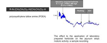 The Effect Of Glyphosate Based Herbicide Roundup And Its Co