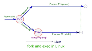 Fork And Exec In Linux Is Explained Linux Fork Programming