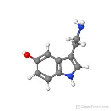 serotonin structure c10h12n2o over