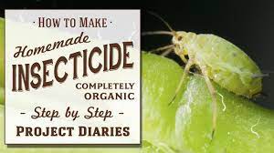 how to make homemade insecticide