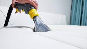 carpet cleaner on your mattress