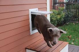 Install A Pet Door Extreme How To