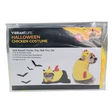 vibrant life halloween dog costume and