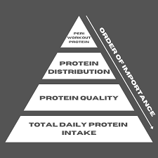 common questions about protein intake