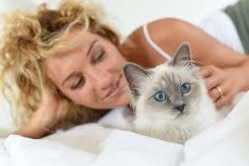 why do cats smell good 5 reasons