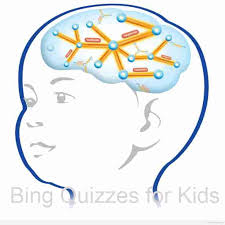 Take our quiz to see. Bing Quizzes For Kids Bing Trends Quiz