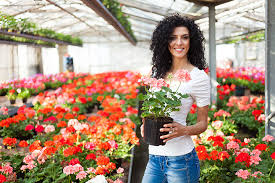 garden centers and nurseries in texas