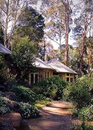 Native Cottage Garden Australian