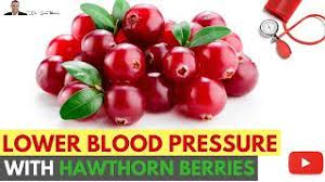 7 impressive hawthorn berry benefits