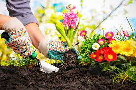 gardening definición y significado