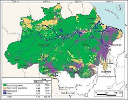 Figure 1 Vegetation And Deforestation In The Brazilian