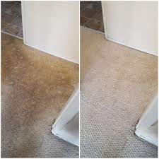 the best 10 carpet cleaning near dallas