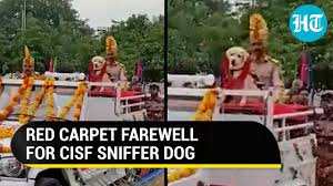 sniffer dog retires cisf personnel
