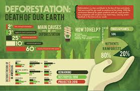 Deforestation Chart On Behance