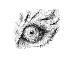 Then, draw a rectangle on the right bottom side of that square. How To Draw Animal Eyes With Pen And Ink