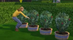 Complete Sims 4 Plant List Find How