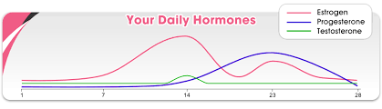 Female Hormone Chart Hormonology Female Hormones