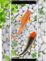 fish live wallpaper aquarium 3 8 free