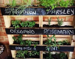 how to create a beautiful outdoor herb