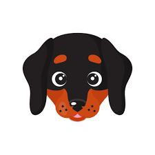 vector cartoon dog face of dachshund