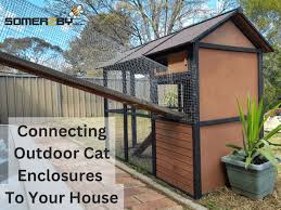 Outdoor Cat Enclosures To Your House