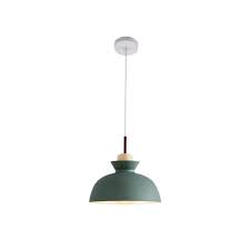Single Dome Pendant With Metal Shade