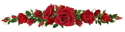 red rose border images browse 115 227