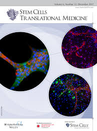 Stem Cells Translational Medicine Vol 6 No 12