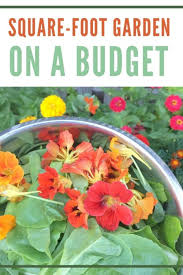 Square Foot Gardening On A Budget