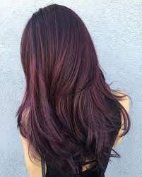Фиолетовый цвет волос: 100+ фото, лучшие идеи причесок, подробно