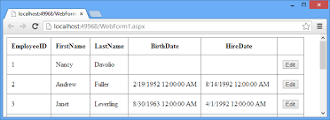 html5 date input type inside gridview