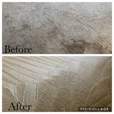 same day carpet cleaning service