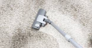 curtis carpet cleaning 2244 n