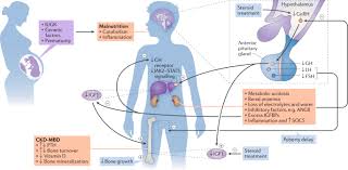 Anemia of chronic disease and renal failure. Clinical Practice Recommendations For Growth Hormone Treatment In Children With Chronic Kidney Disease Nature Reviews Nephrology