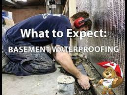 What To Expect Basement Waterproofing