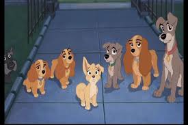 Seeking the freedom to be a wild dog, one of their kids runs away to join a. Lady And The Tramp Ii Image Lady And The Tramp 2 Screencaps Lady And The Tramp Walt Disney Characters Disney Ladies