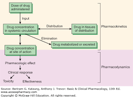 Pharmacokinetics Pharmacodynamics Rational Dosing The