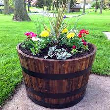 wine barrel planter