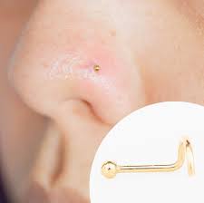 gold stud nose ring nose piercing