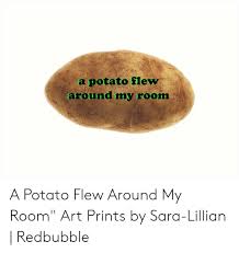 Img2.wikia.nocookie.net/__cb20… so when you put the catalyst on a weapon or a reactor on you. 25 Best Memes About A Potato Flew Around My Room Meme A Potato Flew Around My Room Memes