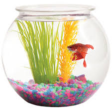 gl fish bowl size dimension 10 to
