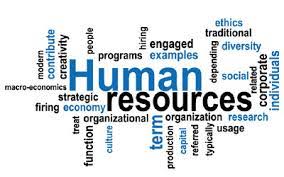 Image result for human resources