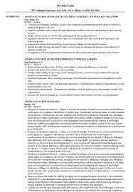 I think that qualities that a nurse leader must have is the ability to. Assistant Nurse Manager Resume Samples Velvet Jobs