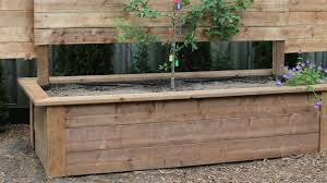 Best Wood For Raised Garden Beds