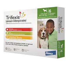 Trifexis For Dogs 20 1 40 Lbs 6 Month Supply Green