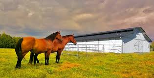 uhb horse barn horse barns kits