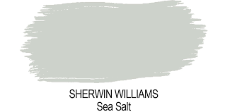 Sherwin Williams Sea Salt Jenna Kate