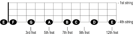 Notes On The Neck Of The Bass Cyberfretbass Com
