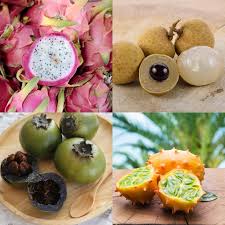 Situados en zaragoza ofrecemos las mejores frutas y verduras frescas. Confira 9 Frutas Diferentes Que Voce Precisa Provar Pelo Menos Uma Vez Na Vida Casa E Jardim Dicas