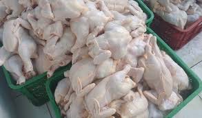 Daftar harga ayam broiler sabtu 27 februari 2021. Cek Harga Ayam Broiler Hari Ini Langsung Dari Peternak Aplikasi Pertanian Media Agribisnis Gdm Agri